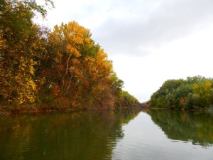 DSCN6581
