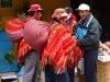 Letom svetom na druhú stranu zemegule – PERU a BOLÍVIA