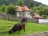 Rumunské Hory – Fagaraš
