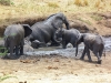 Africké Safari, ostrov Zanzibar a Kilimandžáro