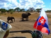 Africké Safari, ostrov Zanzibar a Kilimandžáro