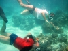 Africké Safari, ostrov Zanzibar a Kilimandžáro