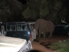 Africké Safari, ostrov Zanzibar a Kilimandžáro