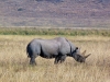 Africké Safari, ostrov Zanzibar a Kilimandžáro