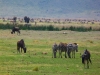 Africké Safari, ostrov Zanzibar a Kilimandžáro