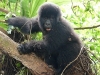 Africké Safari, ostrov Zanzibar a Kilimandžáro