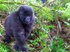 Africké Safari, ostrov Zanzibar a Kilimandžáro