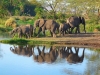 Africké Safari, ostrov Zanzibar a Kilimandžáro