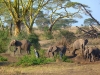 Africké Safari, ostrov Zanzibar a Kilimandžáro