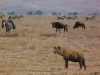 Africké Safari, ostrov Zanzibar a Kilimandžáro