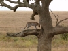 Africké Safari, ostrov Zanzibar a Kilimandžáro