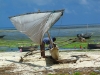 Africké Safari, ostrov Zanzibar a Kilimandžáro