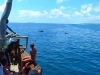 Africké Safari, ostrov Zanzibar a Kilimandžáro