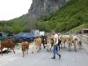 Albánsko - národný park Thethi a dolina Valbona