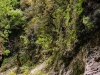 Balkán 2014