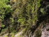 Balkán 2014