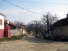 Banát