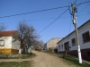 Banát