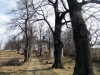 Banská Štiavnica