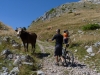 Bjelašnica – Bosna/Hercegovina
