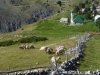 Bjelašnica – Bosna/Hercegovina