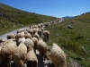 Bjelašnica – Bosna/Hercegovina