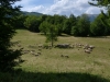Bjelašnica – Bosna/Hercegovina