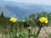 Čierna Hora - Montenegro - pohorie Durmitor