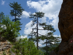 cyklotrek-v-ciernej-hore Cyklotrek v Čiernej Hore