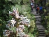 Ecuador - Peru - Bolívia - Chile