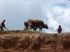 Ecuador - Peru - Bolívia - Chile
