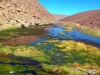 Ecuador - Peru - Bolívia - Chile