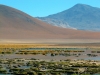 Ecuador - Peru - Bolívia - Chile
