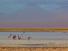 Ecuador - Peru - Bolívia - Chile