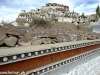 Foto zo zájazdu Ladakh treking v Malom Tibete 2013
