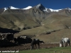 Foto zo zájazdu Ladakh treking v Malom Tibete 2013