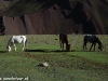Foto zo zájazdu Ladakh treking v Malom Tibete 2013