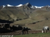 Foto zo zájazdu Ladakh treking v Malom Tibete 2013