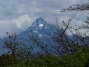 Gorily, rafting, najkrajšia hora, safari  a oceán – Afrika 2014