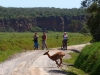 Gorily, rafting, najkrajšia hora, safari  a oceán – Afrika 2014