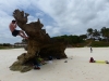 Gorily, rafting, najkrajšia hora, safari  a oceán – Afrika 2014