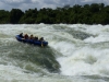 Gorily, rafting, najkrajšia hora, safari  a oceán – Afrika 2014