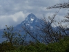 Gorily, rafting, najkrajšia hora, safari  a oceán – Afrika 2014