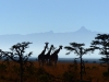 Gorily, rafting, najkrajšia hora, safari  a oceán – Afrika 2014