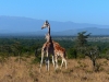 Gorily, rafting, najkrajšia hora, safari  a oceán – Afrika 2014