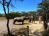 Gorily, rafting, najkrajšia hora, safari  a oceán – Afrika 2014