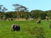 Gorily, rafting, najkrajšia hora, safari  a oceán – Afrika 2014