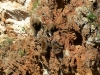 Gorily, rafting, najkrajšia hora, safari  a oceán – Afrika 2014