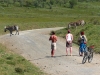 Gorily, rafting, najkrajšia hora, safari  a oceán – Afrika 2014