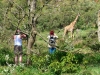 Gorily, rafting, najkrajšia hora, safari  a oceán – Afrika 2014